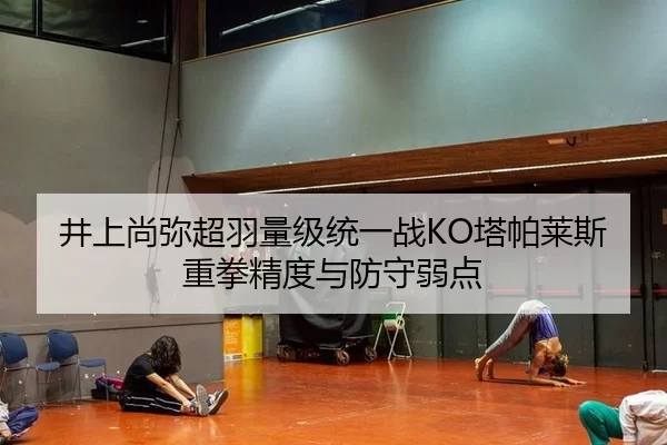 井上尚弥超羽量级统一战KO塔帕莱斯重拳精度与防守弱点